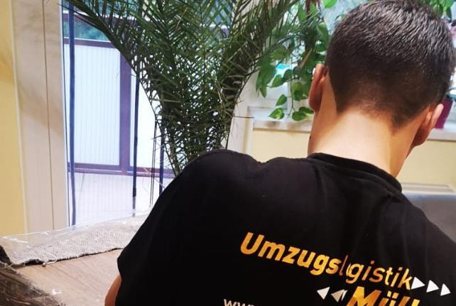 Laborumzug Müglitztal stressfrei umziehen 